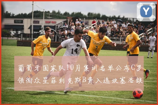 葡萄牙国家队10月集训名单公布C罗领衔众星菲利克斯B费入选坎塞洛缺席