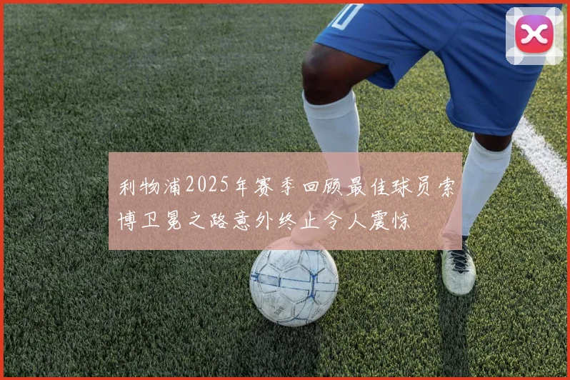 利物浦2025年赛季回顾最佳球员索博卫冕之路意外终止令人震惊