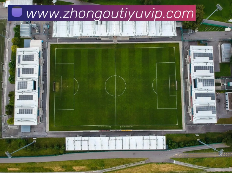 多媒体互动体验